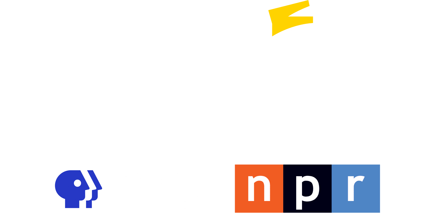 Park Multimedia logo